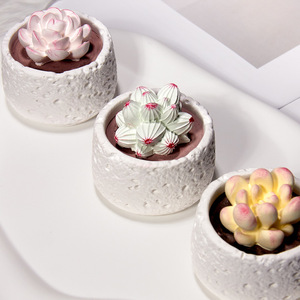 कारखाने प्रत्यक्ष फ्लैमेलेस एरोमाथेरेपी रसीले पोटेड प्लांट सजावटी रचनात्मक रेड डिफ्यूज़र घर के रहने वाले कमरे के लिए सोया मोम सेट - Product Image 4