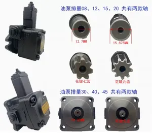 Keileto ปั๊มน้ำมัน VE1-40F-A3 1-2 1-1 VD1-303 1-2 1-1-1 VB1-203 1-2 - Product Image 4