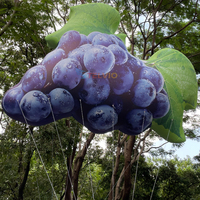 Fruits gonflables suspendus, raisins gonflables violets, ballon à hélium pour la décoration publicitaire des supermarchés