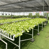 Système hydroponique écologique pour la culture de NFT, serre commerciale, canal hydroponique en PVC de qualité alimentaire pour la culture verticale de la laitue/les herbes