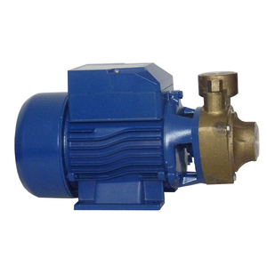 Pompe périphérique <span class=keywords><strong>QBM</strong></span> QBm60 - Product Image 1