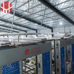 Cages à poulets en batterie de type H, galvanisées, durables, structure <span class=keywords><strong>RTL</strong></span>, capacité de 1000 poulets, cages à poulets à vendre - Product Image 3