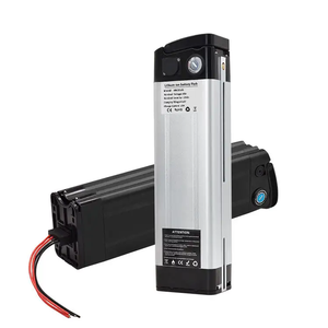 Özelleştirilmiş 24v 36v 48v 60v 8ah 10ah 20ah 30ah 50ah 60ah Gümüş Balık Lityum-iyon Elektrikli Bisiklet Pil Paketi (E-Bisiklet için) - Product Image 3