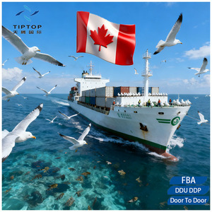 Serviço de Logística de Armazenagem e Envio FBA Mais Barato, Transporte Expresso LCL, Agente de Frete Marítimo da China - Product Image 3