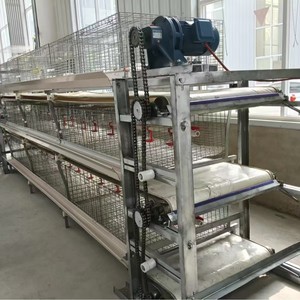 Jaula de Acero para Pollos/Pollos de Engorde, Nueva, de Alta Calidad, Duradera, en Forma de H, de Tres Niveles y <span class=keywords><strong>Dos</strong></span> Puertas, con Transportador, Vida Útil de 15 Años - Product Image 5