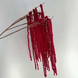 Bola de Hilo de Flores Artificiales <span class=keywords><strong>para</strong></span> Decoración Colgante, <span class=keywords><strong>Arreglos</strong></span> Florales <span class=keywords><strong>para</strong></span> Bodas, Adorno <span class=keywords><strong>para</strong></span> Bodas, Compromisos y Fiestas - Product Image 3