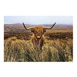 Tableau mural Vache poilue, style Art déco moderne, toile imprimée encadrée transparente à suspendre - Product Image 1