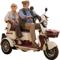 Tricycles Électriques Motorisés 1000W 60V à 3 Roues Certifiés CEE pour Personnes Âgées - Vente en Gros Usine