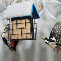 Mangeoire à oiseaux personnalisée JH-Mech, design cage durable, plusieurs ports d'alimentation, métal thermolaqué, mangeoire suspendue pour graisses d'oiseaux