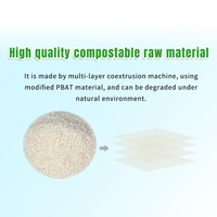 Emballage gonflable en colonne d'air BioAir 100% compostable en PBAT pour produits fragiles