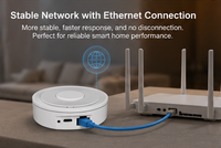 Passerelle ZigBee Tuya OEM, Hub Domotique Ethernet, Compatible Apple HomeKit et Application Smart Life, Prise en Charge des Capteurs, Interrupteurs, Moteurs de Rideaux, Prises et Éclairage