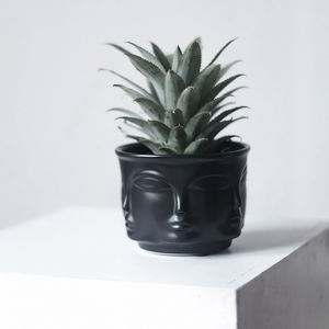 Fiore Piante in vaso giardino di casa Testa Fioriera macetero Viso Fioriere vasi per fiori decorativi <span class=keywords><strong>cactus</strong></span> succulente plantenpot vasi - Product Image 4