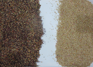 WENYAO 2025 Nieuw Model Banden Optische Kleur Sorteermachine voor Gedroogde Uienschijfjes en Zwarte Peper Kleur Sorteermachine - Product Image 6