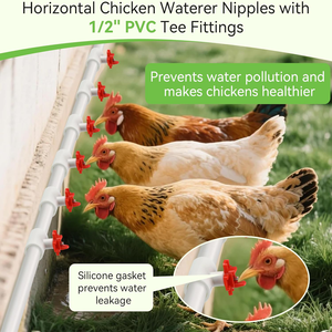 Nuevo Kit de Bebederos Automáticos Horizontales para Aves de Corral con Conexiones en T de <span class=keywords><strong>PVC</strong></span> y Acero Inoxidable para Pollos, Patos y Codornices - Product Image 4