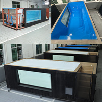 Mini piscine en acrylique avec sièges intégrés pour patio et terrasse, piscine conteneur, spa