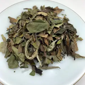 Chá branco Bai Mu Dan Orgânico Premium para fabricantes de chá a granel com preço de fábrica mais vendido