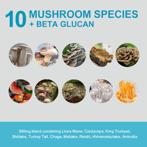 3 in 1ビーガンプロテインパウダーきのこサプリメント保証付きサプリメント200mgきのこブレンドプロテインパウダー - Product Image 3