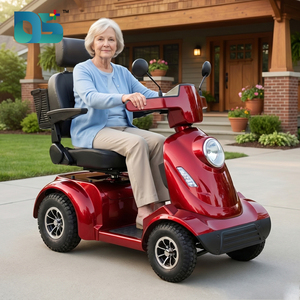 Scooter Eléctrico Plegable de 800W, 4 Ruedas, Velocidad Ajustable de <span class=keywords><strong>0</strong></span>-15 <span class=keywords><strong>Km</strong></span>/h, Capacidad de Carga de 180 kg, con Cesta - Product Image 3