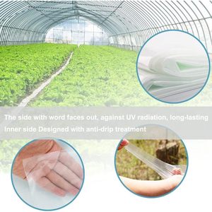 Film plastique pour serre 6 mil 10' x 26' transparent résistant aux UV en polyéthylène pour usage en serre à armatures - Product Image 3