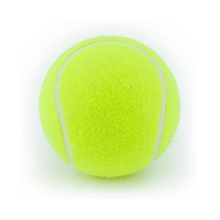 Balles de padel Gravim Brand écologiques, haute pression, 57 % laine, pour beach tennis, rebond de 105-120 cm, diamètre 64 mm