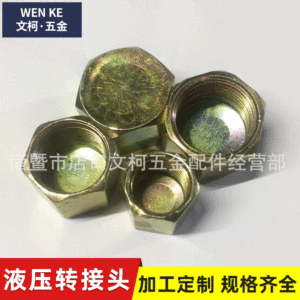 Tapón de Rosca Interna Hidráulico de Acero al Carbono, Tapón de Sellado para Manguera de Aceite de Alta Presión M16 M18 M22 - Product Image 1