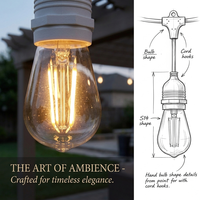 10 ampoules Heavy Duty Drop Festoon String Lights câble de rallonge d'alimentation avec longueur personnalisée intérieur ou extérieur utilisé