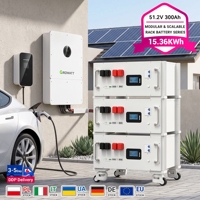 Batterie LiFePO4 51,2 V 300 Ah 15,36 kWh au phosphate de fer et de lithium à décharge profonde pour système de stockage d'énergie solaire en rack de serveur ESS avec BMS intelligent