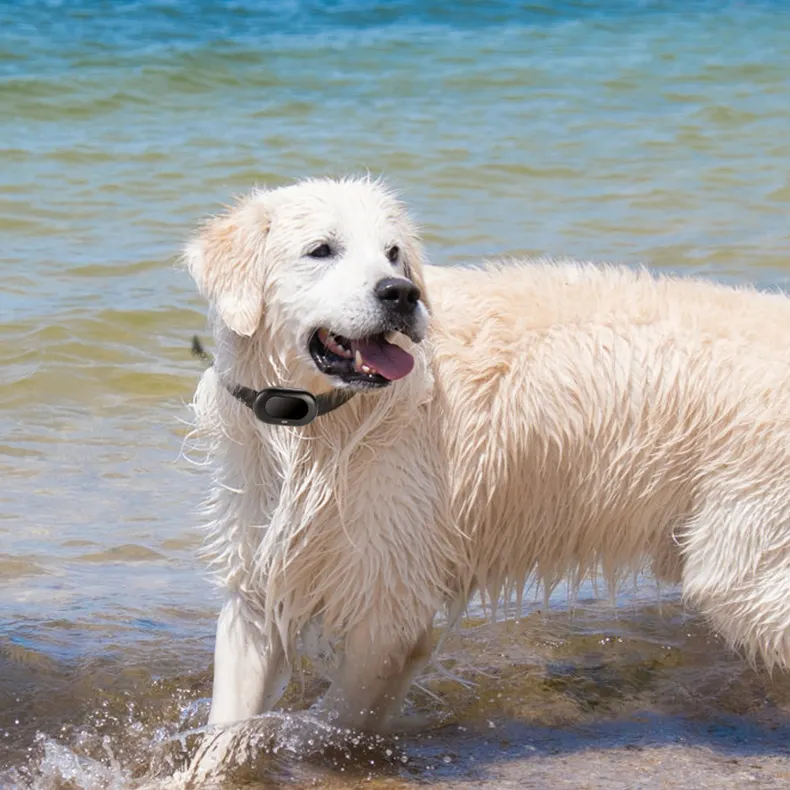 Nueva llegada Seguimiento en tiempo real Localizador eléctrico impermeable 4G GPS Rastreador de mascotas para perro