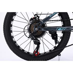 Naixin Vente en gros d'usine Vélos de montagne Prix bas Roues à double frein à disque 20 pouces pour adultes Vélo de montagne - Product Image 4