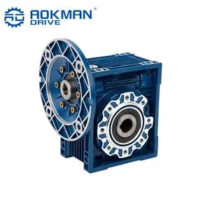 Aokman Worm Tandwiel Snelheid Reducer Box Rv Serie Dubbele Input As Gemonteerd Tandwielmotor Voor Transportband