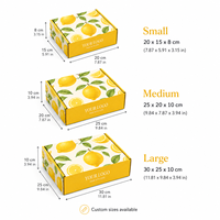 Boîte cadeau personnalisée pour citrons, boîte en carton ondulé haut de gamme pour fruits, boîte pliable en forme d'avion, impression recto-verso