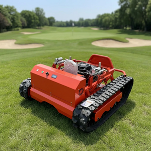 Tondeuse à gazon télécommandée à moteur essence haute puissance, <span class=keywords><strong>prix</strong></span> compétitif pour les jardins agricoles et domestiques - Product Image 6