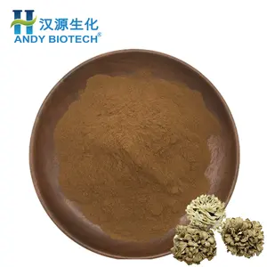 Bulk Price Fresh Organic Polysaccharide Powder 30% Maitake Mushroom Extract