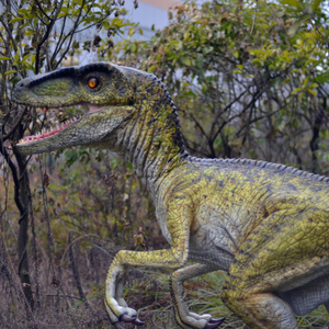 Dinosaurio robótico Animatronic <span class=keywords><strong>Blue</strong></span> Lizard <span class=keywords><strong>Velociraptor</strong></span> para Parque de Atracciones - Product Image 3