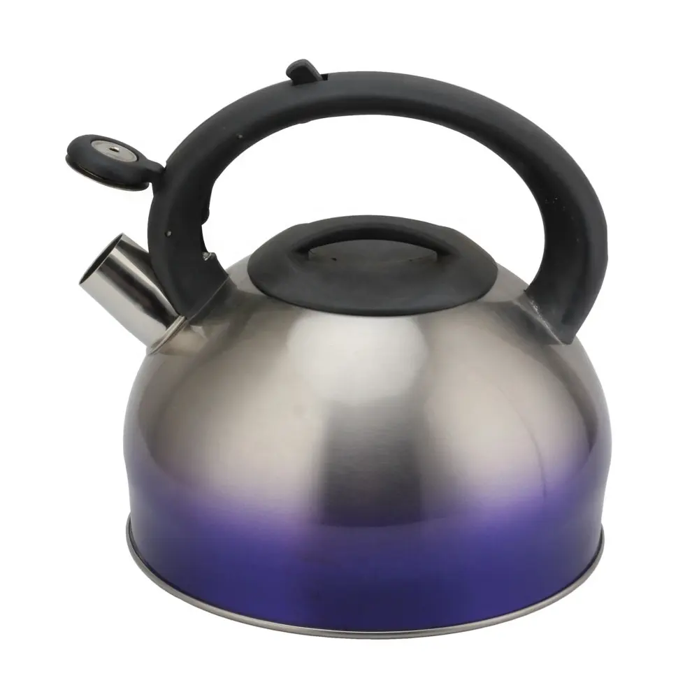 Чайный чайник из нержавеющей стали, маленькие чайные горшки 2,6 кварт, чайный чайник со свистком для плиты