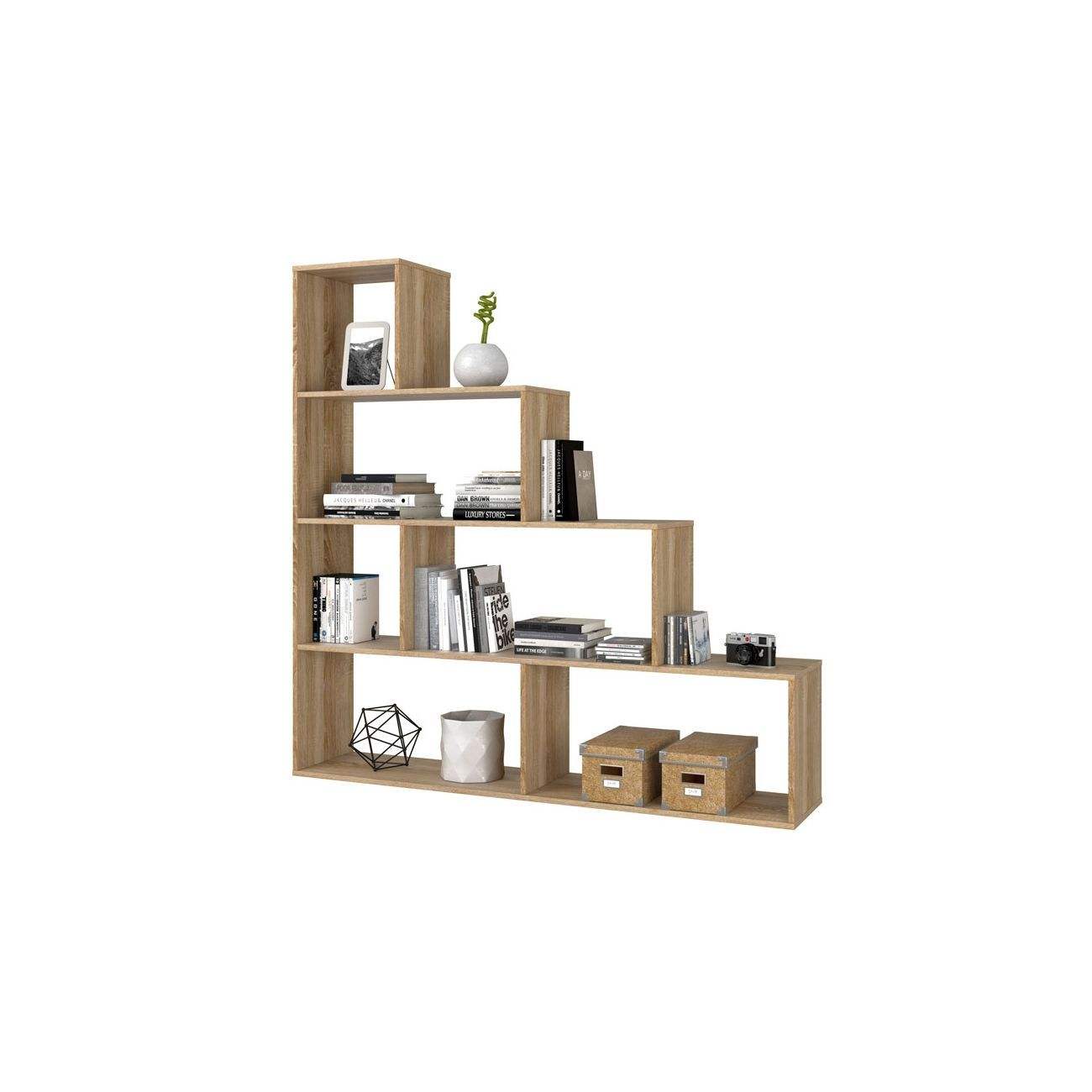 สี: ต้นโอ๊กแคนาดา