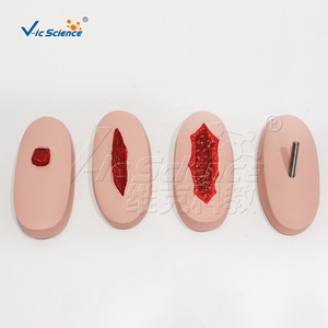Módulo Avanzado de Evaluación de Traumas para Entrenamiento Médico de Emergencia con Múltiples Sitios de Heridas - Product Image 3
