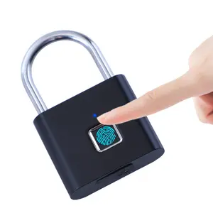 Vendita calda lucchetto elettronico per impronte digitali impermeabile piccola Mini serratura senza chiave intelligente con impronta digitale biometrica