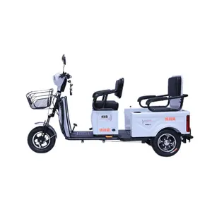 Electric Tricycle Small Tandem Female Mini Electric Tricycle Elderly Elderly Transport Children Battery Car