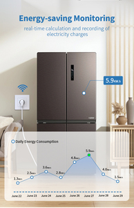 Campione gratuito 12A EU Custom Smart Plug Alexa Google Home Smart presa di alimentazione a <span class=keywords><strong>2</strong></span> Pin Plug Wifi Monitor di energia <span class=keywords><strong>Timer</strong></span> - Product Image 5