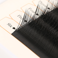 Extensions de cils individuelles mates, extensions de cils en cachemire, extensions de cils en volume, extensions de cils faciles à poser, extensions de cils coréennes
