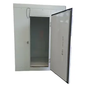 Mobile Insulated Freezer Container 100mm Cold Room/Cold Storage Meat Fish Vegetables-for Retail Home Use Farms Food Shops Hotels