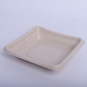 Assiettes jetables écologiques biodégradables en bagasse de canne à sucre, plateaux imperméables pour l'emballage des légumes, de la viande et des voyages - Product Image 1