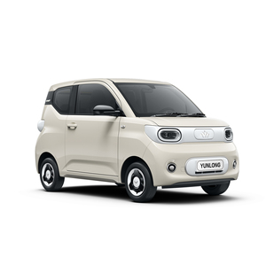 Auto Eléctrico de 4 Ruedas con Certificación EEC, Mini Auto Eléctrico, Mini Autos Eléctricos Chinos, Auto Eléctrico Homologado para Carretera - Product Image 4