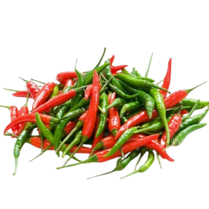 Chuyên nghiệp Đội ngũ có nguồn gốc tươi Ớt Đỏ từ Việt Nam trực tiếp nhà sản xuất duy nhất loại thảo mộc gia vị nguyên trạng thái tuyệt vời sau bán hàng - Product Image 4