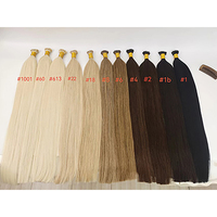 Nuancier de couleurs de cheveux humains Remy russes 100 % double trame, qualité professionnelle, pour extensions Micro-Link, 100g, expédition immédiate