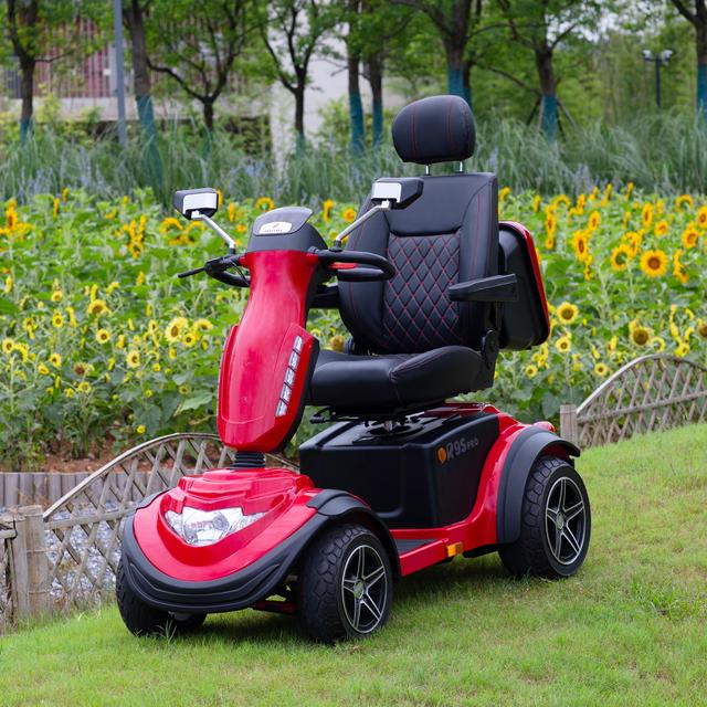Travel 4 Wheels Large Mobility Scooter Free Will Electric Scooters for the Elders Electric Scooter Germany