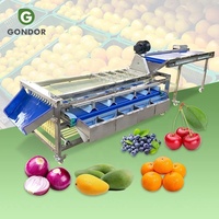 Industriële Pruimmaat Sortering Abrikozen Kokos Citrus Zure Kersenfruit Papaja Sorteermachine Voor Mangosteen
