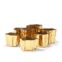 Ensemble de tables basses Inspired Accent en laiton poli, design inspiré de la nature, style contemporain et moderne, meubles de salon