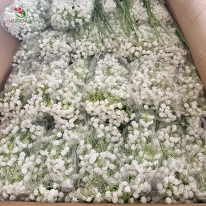 HH Boule Fleurs Gypsophile Mariage artificiale all'ingrosso Gypsophila rosa vero tocco fiore Baby alito centrotavola per parete - Product Image 1